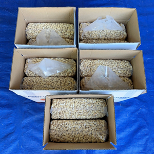 Nueces de Anacardo SANTIGO a Granel, Semillas de Anacardo, Kaju, Noix De Cajou, Precio Razonable, MOQ Bajo - Product Image 1