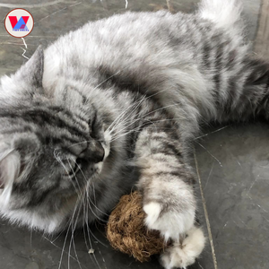 Pelota Masticable de Fibra de Coco de Alta Calidad al por Mayor, Juguete Sostenible para Mascotas, Esfera de Cáscara de Coco, Suministros para Tiendas de Mascotas, Cuidado Dental, Pelota Molar - Product Image 6