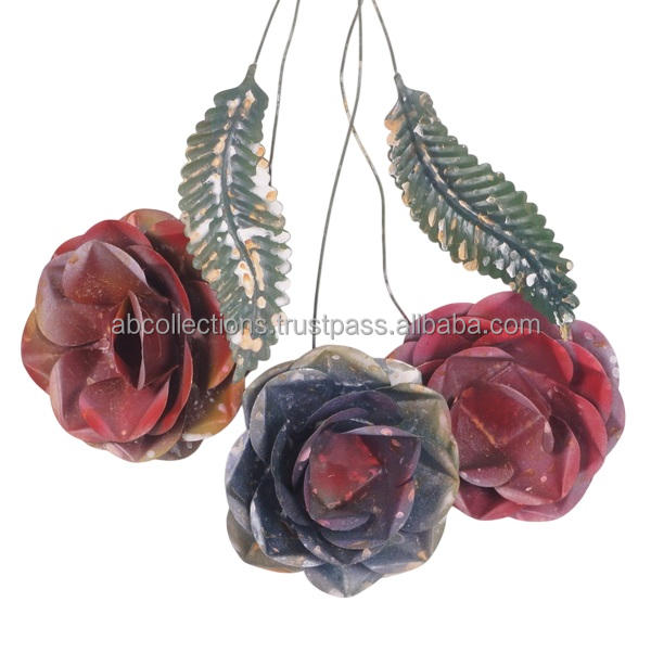 Flora naturelle multicolore