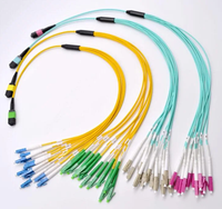 Cordon de brassage fibre optique MPO vers FC LSZH 12 fibres monomode OS2 pour FTTH et centre de données 40G 100G