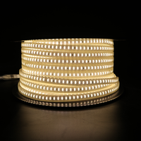 Nanoco Outdoor Led Strip 120 Chip Led IP65-2 Lijnen Smd 2835- 8W-Top 1 Landschapsverlichting In Vietnam