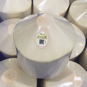<b>GAP</b> CERTIFIED FRESH COCONUT CUT INTO DIAMONDS PREMIUM QUALITY FRUIT WHOLESALERS - Product Image 3