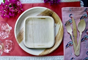 Assiettes élégantes en forme carrée en feuille de palmier de 7 pouces pour les apéritifs et les entrées, les collations de boulangerie et les plats chaat, les desserts. - Product Image 2