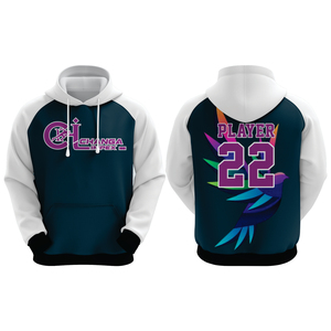 Apex Fusion Performance Hoodie <b>Elite</b> Storm Pullover Hoodie Urban Velocity Hoodie - Product Image 3