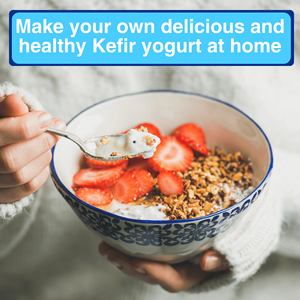 Kit de fermentación casera Kefir japonés Probiótico Yogurt Starter con evidencia clínica - Product Image 3