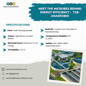 Polvo Microbiano Anaeróbico para la Comisiónamiento de Digestores de Lodos - Product Image 3