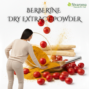 Poudre d'extrait sec de berbérine sauvage de qualité alimentaire, source naturelle, pour mélange d'ingrédients fonctionnels et utilisation dans le traitement commercial - Product Image 6