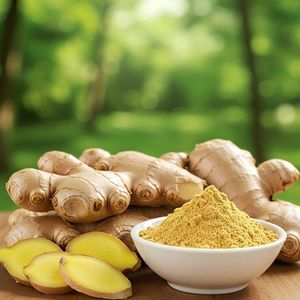 Pure <b>Ginger</b> Powder Made in Vietnam Fine Texture Strong Aroma Bulk Supply for Food Industry - Product Image 3
