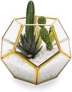 Support et jardinière hexagonale en verre et laiton pour terrarium, décoration d'intérieur, bougeoir en verre et métal pour la décoration - Product Image 1