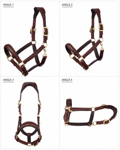 Cabestro de Cuero Hecho a Mano para Caballo con Corona y Correa Nasal Ajustables de Divine International - Product Image 4