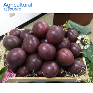 Fruta de La pasión de tendencia superior-Sabor agridulce orgánico 100% lleno de vitamina C Gran sabor Fruta de La pasión-De la fábrica de Vietnam - Product Image 4