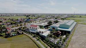 Componentes de núcleo de engranaje de motor de máquina desgranadora agrícola de alta productividad hechos en Vietnam para arroz con cáscara y trigo - Product Image 6