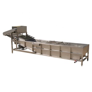 Máquina automática de limpieza de burbujas de apio, línea de procesamiento de limpieza de tomates cherry, máquina de limpieza de tomates - Product Image 4