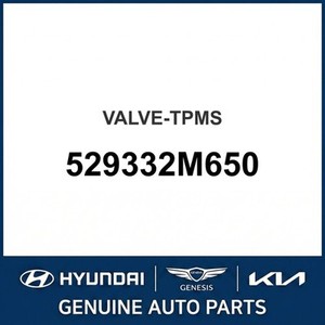 Nouvelles pièces et accessoires pour voitures et camions 529332M650 - Product Image 1