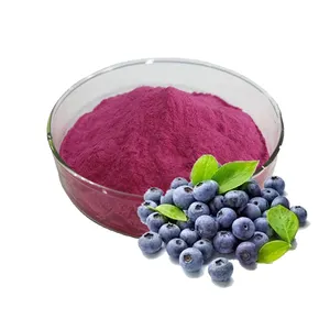 Pure and concentrated acai berry powder, derived from superfood acai berries, suitable for making juice or as a fruit extract