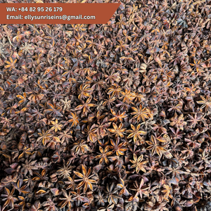 Anís Estrellado de Vietnam, Especias Enteras, Hierba Aromática Natural, 10 kg, MS ELLY (WA +84 829 526 179) - Product Image 3
