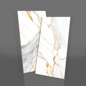 Vente directe d'usine : Carreaux de sol en granit 600 x 1200 mm super polis pour projets gouvernementaux. - Product Image 1
