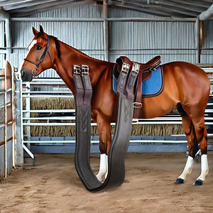 Circunferencia de forma anatómica con elástico de doble cara y cierre de seguridad Circunferencia de caballo de cuero Premium - Product Image 1