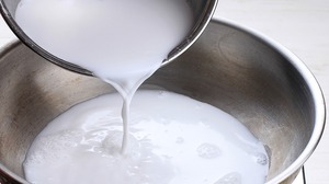 LECHE DE COCO ENLATADA ORGÁNICA CON 17%-19% DE CONTENIDO DE GRASA, VENTA AL POR MAYOR PARA RESTAURANTES - Product Image 1