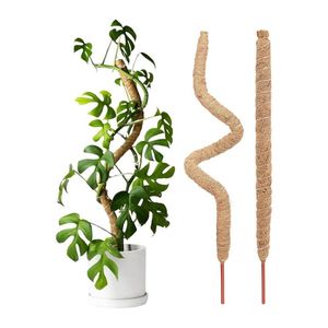 Piquets en fibre de coco de qualité supérieure pour un support vertical fiable des plantes grimpantes et une hydratation efficace des racines avec rétention de l'humidité - Product Image 1