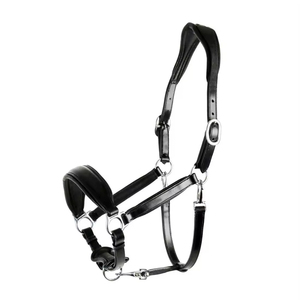Nouveauté : Haltères pour chevaux rembourrés, confortables, doux et réglables, fabriqués au Pakistan, en vente - Product Image 1