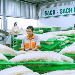 Pho vietnamien prêt à manger 90g Nadisa Nouilles de riz instantanées saveur bœuf traditionnelle Grand bol spécial nouilles de riz séchées - Product Image 2