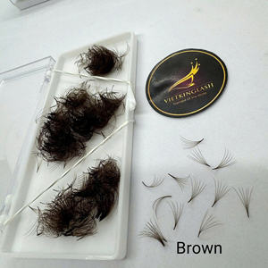 Extensions de cils synthétiques pré-fabriquées, couleur naturelle, longueur mixte CC/DD/M/L, courbure 0.03mm-0.07mm, faites à la main, logo personnalisé - Product Image 3