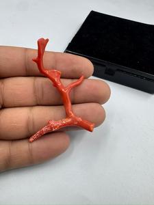 Top Quality Italian Red Coral <b>Branch</b> Beads Rough Gemstone For Jewelry Making <b>Tree</b> Shape Coral Gemstone - Product Image 3