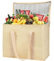 Tas Makan Siang Termal Ramah Lingkungan Mewah Harga Pabrik untuk Anak Sekolah, Bahan PP Woven Laminasi Anti Air, Desain Logo Custom, Vietnam Pro