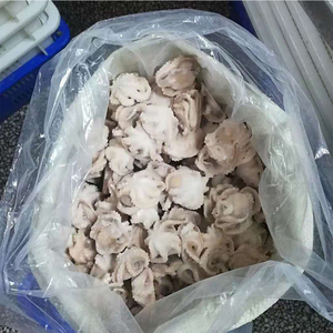 Pulpo Bebé Congelado de Primera Calidad al por Mayor, Grado Alimenticio, Stock Disponible, Proveedor de Exportación Confiable - Product Image 2