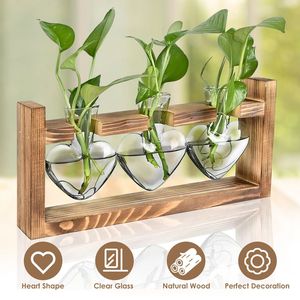 3 Jarrones de Vidrio en Forma de Corazón, Estación de Propagación de Escritorio, Soporte de Madera, Macetas Hidropónicas para Plantas Aéreas - Product Image 6