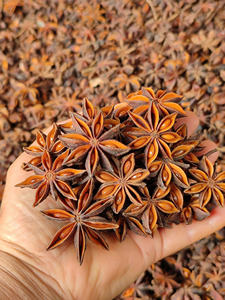 โป๊ยกั๊กเครื่องเทศเวียดนาม - Product Image 2