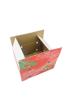 Caja de Cartón Corrugado Plegable de 5 Capas Personalizable OEM, Rectangular, con Ranuras para Fruta del Dragón, Reciclada, Impresa con Flexografía UV - Product Image 6