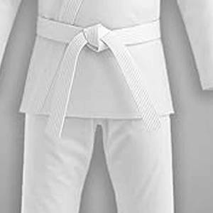 Trajes de Karate de Diseño Personalizado de Alta Calidad para Hombre, Uniformes de Taekwondo Personalizados al por Mayor, Artes Marciales, subidos por Dress Sports - Product Image 5