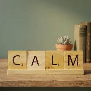 Décoration de table rustique en bois avec blocs de lettres CALM faits à la main pour la maison, le bureau, la chambre, le salon, la décoration d'étagère - Product Image 6