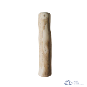 BEST-SELLER |   Bâton à mâcher pour chien en noix de coco écologique pour les mâcheurs agressifs avec soins dentaires - Blue Lotus - Product Image 1