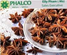 Anís estrellado de alta calidad, especias secas procesadas por el fabricante y exportador Phalco en Vietnam, estilo crudo, precio económico. - Product Image 4