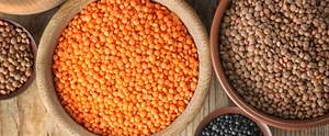 Bulk Wholesale Organic High-quality Red Lentils Rich Protein Fiber Natural Healthy Export Supply Global Markets Austria - Product Image 5