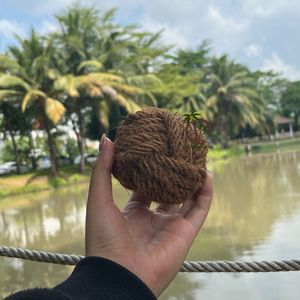 ของเล่นเคี้ยวสำหรับสัตว์เลี้ยงใยมะพร้าวโคโค่ อีโค ขนาดเล็ก ทนทาน ดีไซน์ธรรมชาติ สำหรับสุนัขและสัตว์เลี้ยงขนาดเล็ก-ใช้ภายในอาคาร-ธรรมชาติ 100% - Product Image 1