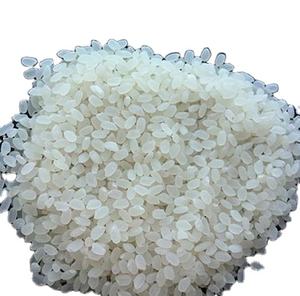 Arroz integral japónica de alta calidad, textura suave seca a precio mayorista - Product Image 1