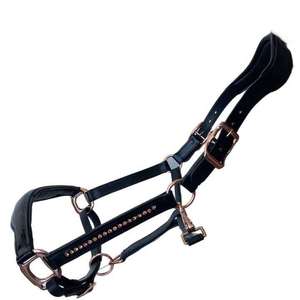 New English Saddle <b>Halter</b> Genuine Leather with Soft Lining and Laced Reins by Manufacturer - Product Image 1