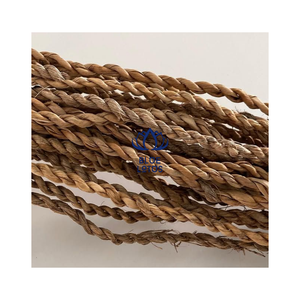Corde en fibre de coco naturelle très demandée, provenant d'une usine vietnamienne, pour l'enroulement des arbres, le ligaturage des plantes, l'emballage et les applications artisanales - Product Image 1