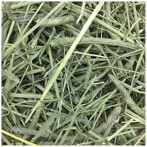 Heno de Timothy de Primera Calidad, Grado A, Origen Reino Unido, para Ganado y Caballos, Muestra de 500g - Product Image 1