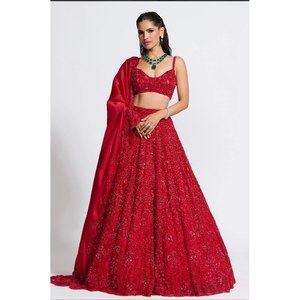 Ropa Europea de Diseñador, Hermoso Trabajo de Bordado, Lehenga Choli - Product Image 1