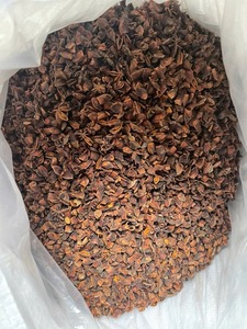Fournisseur Vietnamien : Anis Étoilé Entier Séché, Sachet de 4 Oz, Qualité Export pour la Transformation Alimentaire - Product Image 5