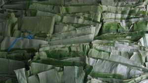 2025! Chaud de haute qualité 100% naturel frais feuille de bananier Vietnam exportation produit agricole meilleur vendeur - Product Image 6