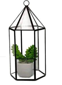 ภาชนะแก้วคริสตัลสำหรับปลูกต้นไม้แบบเทอร์ราเรียม ดีไซน์สวยงาม ใส โดดเด่น เหมาะสำหรับปลูกไม้อากาศและตกแต่งอย่างมีสไตล์ ราคาดีที่สุด - Product Image 3