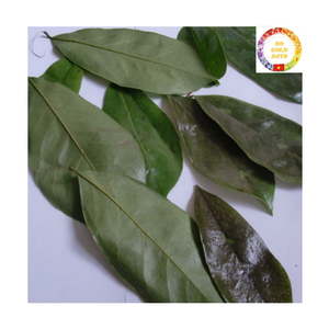 ส่วนผสมชาจากพืช |   ใบชบาธรรมชาติแบบเป็นกิโลกรัมจากโรงงานผู้ผลิต (OEM) - Product Image 6