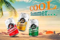 Cerveza Vietnamita de Primera Calidad, 33cl/330ml, en Latas, Venta al por Mayor a Precio de Fábrica, Cerveza al por Mayor, ODM OEM en Vietnam