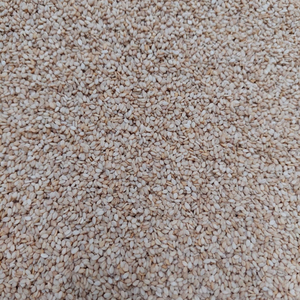 Graines de sésame en gros, récolte fraîche de qualité supérieure, approvisionnement direct pour les réseaux de distribution mondiaux - Product Image 1